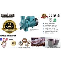 Máy Bơm Nước 2Hp Thương Hiệu Wassermann Pump