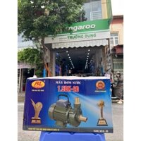 MÁY BƠM NƯỚC 750W BẢO LONG HÀNG VIỆT NAM CHẤT LƯỢNG CAO TẶNG REN HÚT SẢ VÀ BĂNG TAN