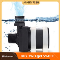 Máy bơm nước ANGRYFISH DC 12V / 24V Tiếng ồn thấp Động cơ không chổi than Máy bơm chìm Mini Máy bơm áp lực cho bể cá trong vườn