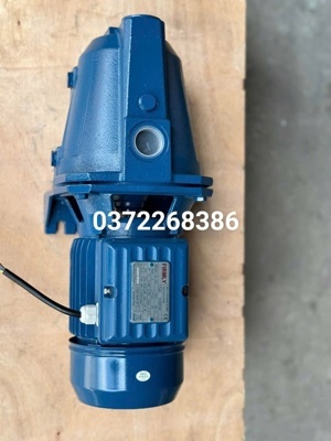 Máy bơm nước bán chân không Pentax CAM 200 - 2HP