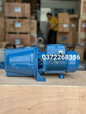 Máy bơm nước bán chân không Pentax CAM 75 - 0.8HP