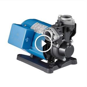 Máy bơm nước bánh răng đẩy cao Walrus TP325