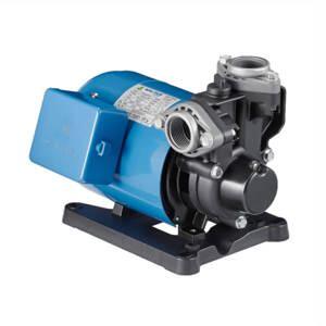 Máy bơm nước bánh răng đẩy cao Walrus TP325