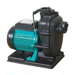 Máy bơm nước biển Wilo PUS 750E