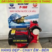 MÁY BƠM NƯỚC CÁ SẤU - 160W