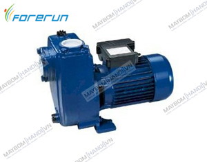 Máy bơm nước chân không Forerun MKS80-1 - 750W