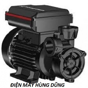 Máy bơm nước chân không Grundfos PF 2-50