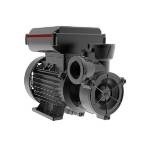 Máy bơm nước chân không Grundfos PF 2-50