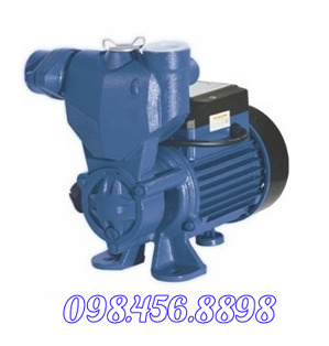 Máy bơm nước chân không Kangaroo KG 200E - 200W