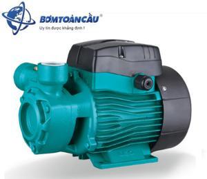Máy bơm nước chân không Lepono AQm 75 (AQm75) - 1HP