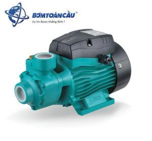 Máy bơm nước chân không Lepono APm 75 (APm75) - 1HP