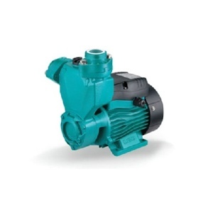 Máy bơm nước chân không Lepono APSm 75 (APSm75) - 1HP