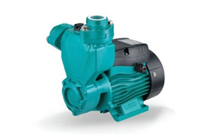 Máy bơm nước chân không Lepono AQm 75 (AQm75) - 1HP