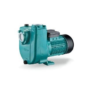 Máy bơm nước chân không Lepono APm 75 (APm75) - 1HP