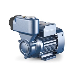 Máy bơm nước chân không Pedrollo PKSm 60