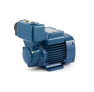 Máy bơm nước chân không Pedrollo PKSm 60