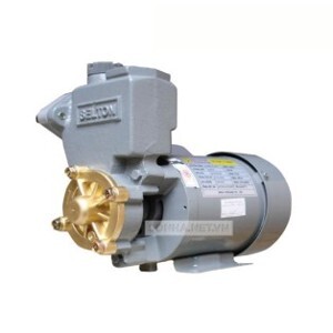 Máy bơm nước chân không Selton 200E 200W