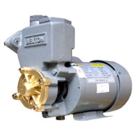 Máy Bơm Nước Chân Không Selton 200BE (200w-220v)