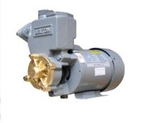 Máy Bơm Nước Chân Không Selton 200BE (200w-220v)