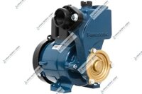 Máy bơm nước chân không Panasonic GP 200 JXK (200 w)