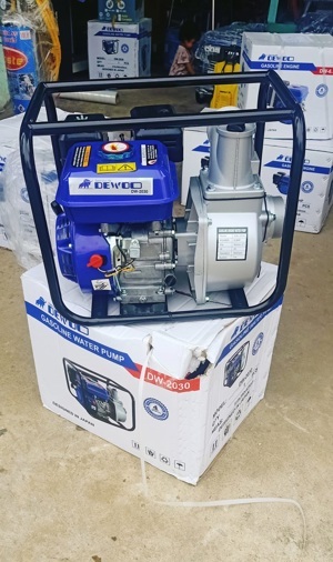 Máy bơm nước chạy xăng Dewoo DW-2030