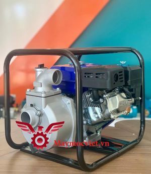 Máy bơm nước chạy xăng Dewoo DW-2030