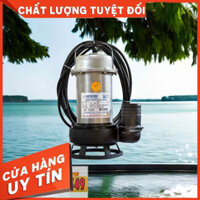 Máy bơm nước chìm hút bùn - Daphovina - Chuyên dụng hút bùn, bể biogas, nạo vét ao hồ, hố móng công trình - 4HP