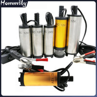 Máy Bơm Nước Chìm Mini 12V 24V  51Mm Máy Bơm Diesel Di Động Nhỏ Dầu Diesel Mini Chìm Nước Xe