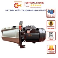 Máy Bơm Nước Con Lợn BẢO LONG JET-100