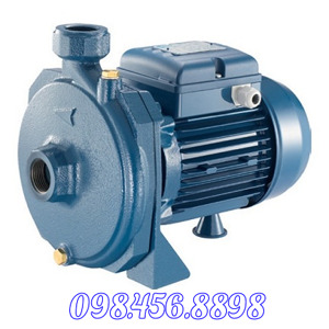 Máy bơm nước dân dụng Pentax CMT 100