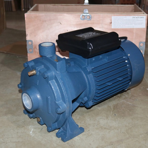 Máy bơm nước đầu đĩa Lucky pro 2XCM 25/160A 3HP