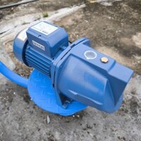 Máy bơm nước đầu lợn , bán chân không hiệu BENTAS 750w MJSW/10M (B1022) 1hp cánh đồng, trục Inox, nhập khẩu Trung Quốc