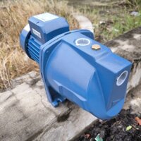Máy bơm nước đầu lợn , bán chân không hiệu BENTAS 750w MJSW/10M (L1122) 1hp cánh đồng, trục Inox, nhập khẩu Trung Quốc