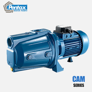 Máy bơm nước đầu lợn Pentax CAM 100 750w