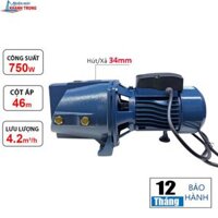 Máy bơm nước đầu lợn Veratti VSm-10M (750W)
