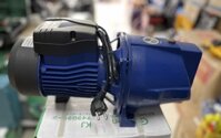 Máy Bơm Nước Đẩy Cao 750W Gordon (Bơm Con Lợn), Máy bơm đầu lợn, Máy bơm lợn 1hp
