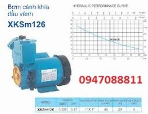 Máy bơm nước đẩy cao Lepono XKSM126 (XKSM-126)