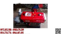 Máy bơm nước Diesel D20 Phi 200 (VT-BNDei09)