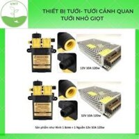Máy bơm nước đôi mini tăng áp 12v phun sương, rửa xe áp lực cao tự ngắt chuẩn công suất