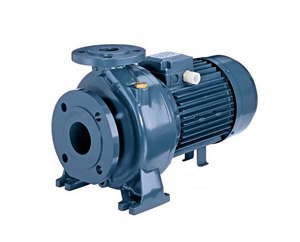 Máy bơm nước Ebara MD 50-250/22