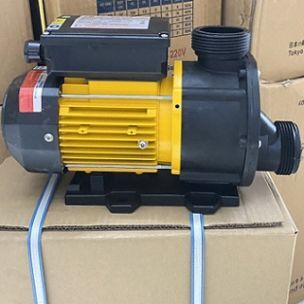 Máy bơm nước hồ bơi Ewara TDA 100 1HP