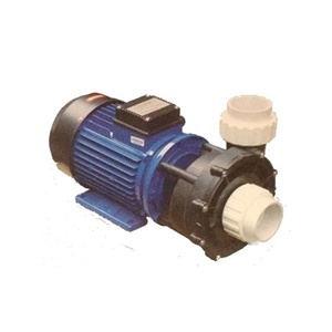 Máy bơm nước hồ bơi Ewara WH 100 1HP