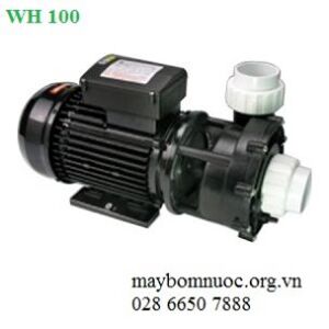 Máy bơm nước hồ bơi Ewara WH 100 1HP