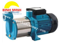 Máy bơm nước LEPONO 4XCM 100S(750W)  Thông số kỹ thuật