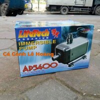 Máy Bơm Nước Lifetech AP5400 150w Đẩy Cao 4.5m 3900L/h Đủ phụ kiện nối Ren 27 đầu ra 21 Ren 21 đầu ra 16