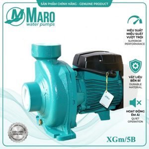Máy bơm nước lưu lượng Lucky Pro XGM/5B - 1HP
