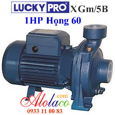 Máy bơm nước lưu lượng Lucky Pro XGM/5B - 1HP