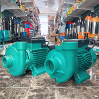 Máy bơm nước ly tâm 1.1Kw (1.5HP) TAIFU - Bảo hành 1 năm, Máy bơm cá sấu, Máy bơm nước gia đình