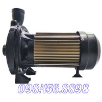 Máy bơm nước ly tâm Detax CMA 150 (1.1W)