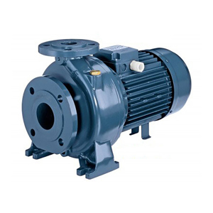 Máy bơm nước ly tâm Ebara 3D 32-125/1.1 - trục ngang, 1.5HP